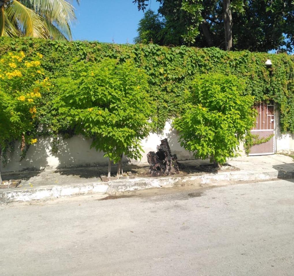 Bonita Casa A Dos Cuadras Del Mar Villa Playa del Carmen Exterior photo